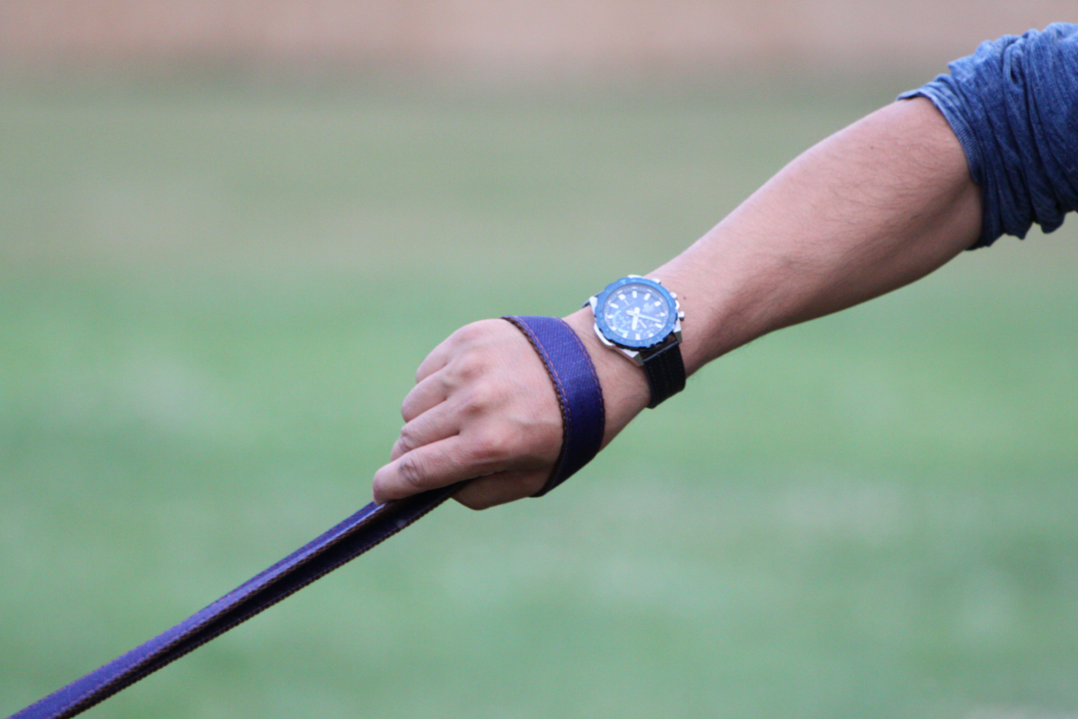 Jean - Állítható textil póráz - Corspet Hungary