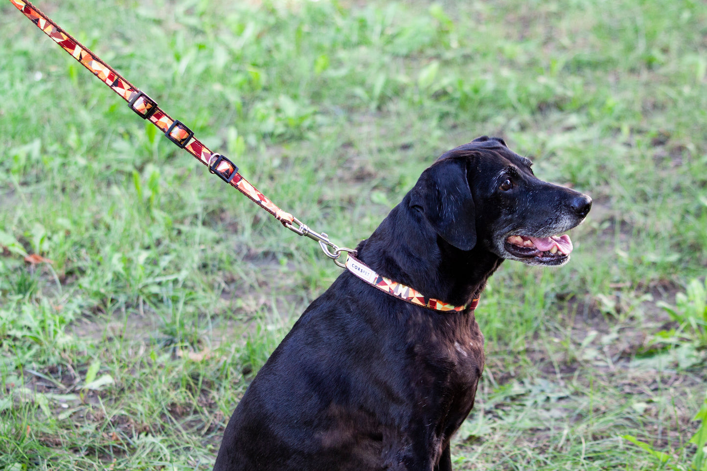 póráz, kutya póráz, pórázok ,textil póráz , fojtó póráz ,folyto poraz , fojto poraz, kutya kiegészítők, kutyás cuccok, kutyapóráz