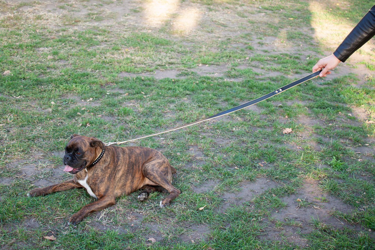 póráz, bőr kutyapóráz, kutya poraz, kutya pórá, kutyapóráz, nyakörv és póráz,, kutya pórázok, kutyafelszerelések