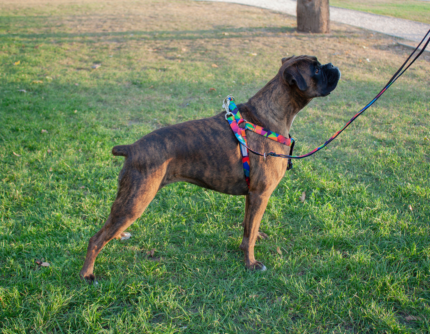 Mozaik - Állítható textil hám - Corspet Hungary