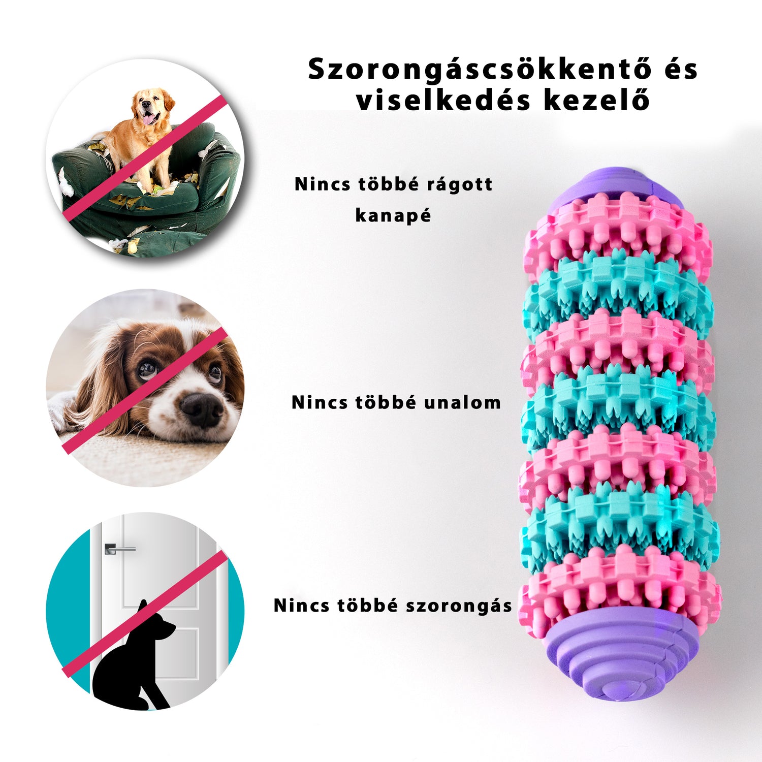 kutya fejlesztő játék, kutya intelligencia játék, kutya fogápolás, kutya fogtisztító játék, kutya játék, kutyajátékok, kutyás játék, kutya kiegészítők, kutyafelszerelés, kutya webshop