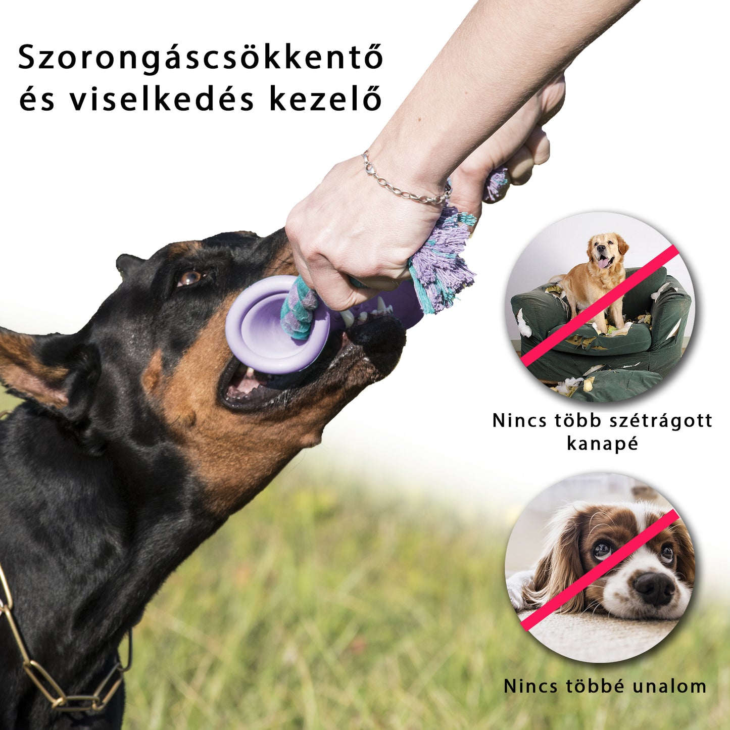 kutya kötél játék,kötél játék,kutya felszerelés , kutya játékok, kutyajáték,kutya labda,kong kutyajáték, strapabíró játék, kutya logikai játék,