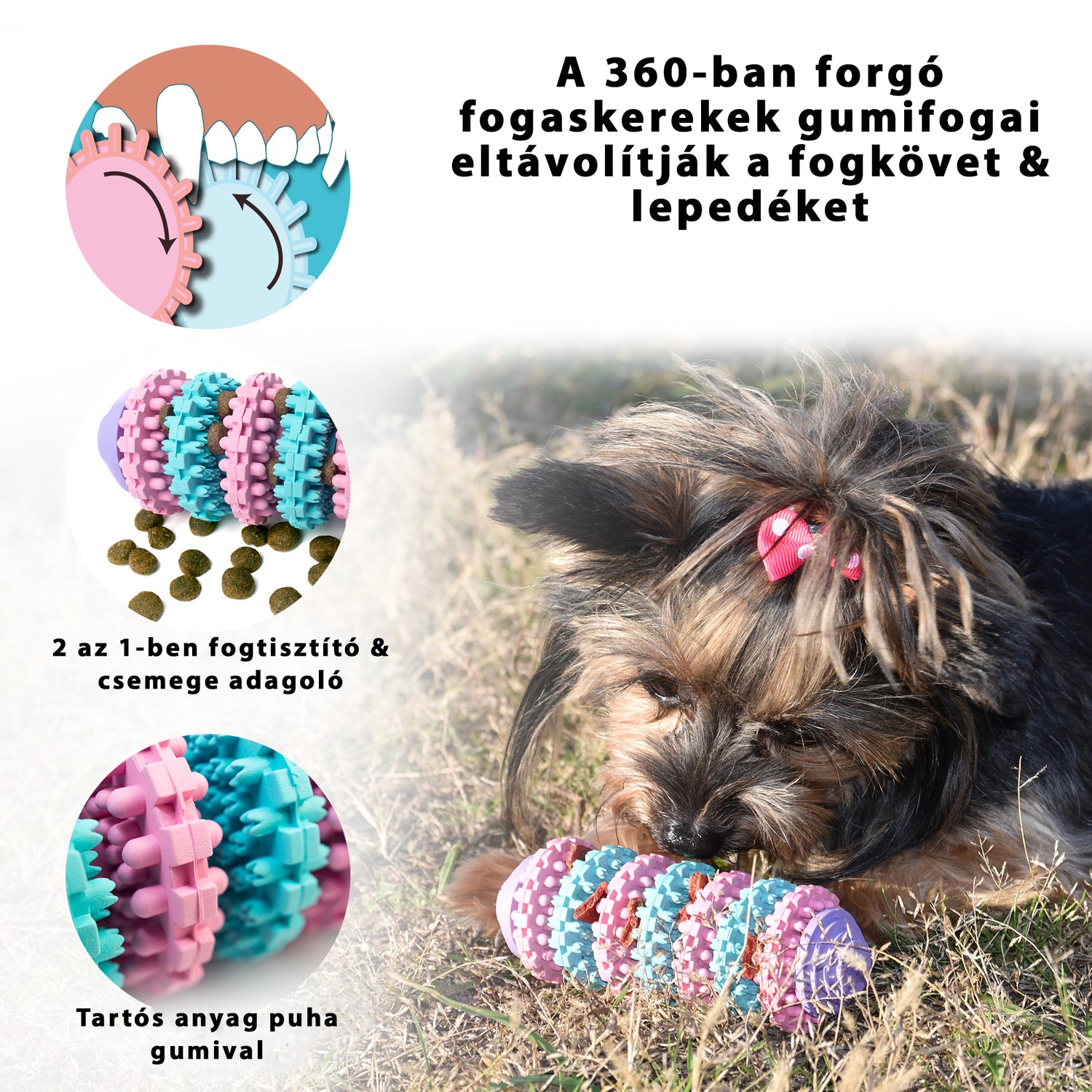 interaktív játékok kutyáknak, kutya játékok,kutya kötél játék, logikai játék kutyáknak ,kölyök kutya játékok, intelligencia játék kutyáknak , kutya játékok webshop, kutya intelligencia, fejlesztő játék, játékok kutyáknak