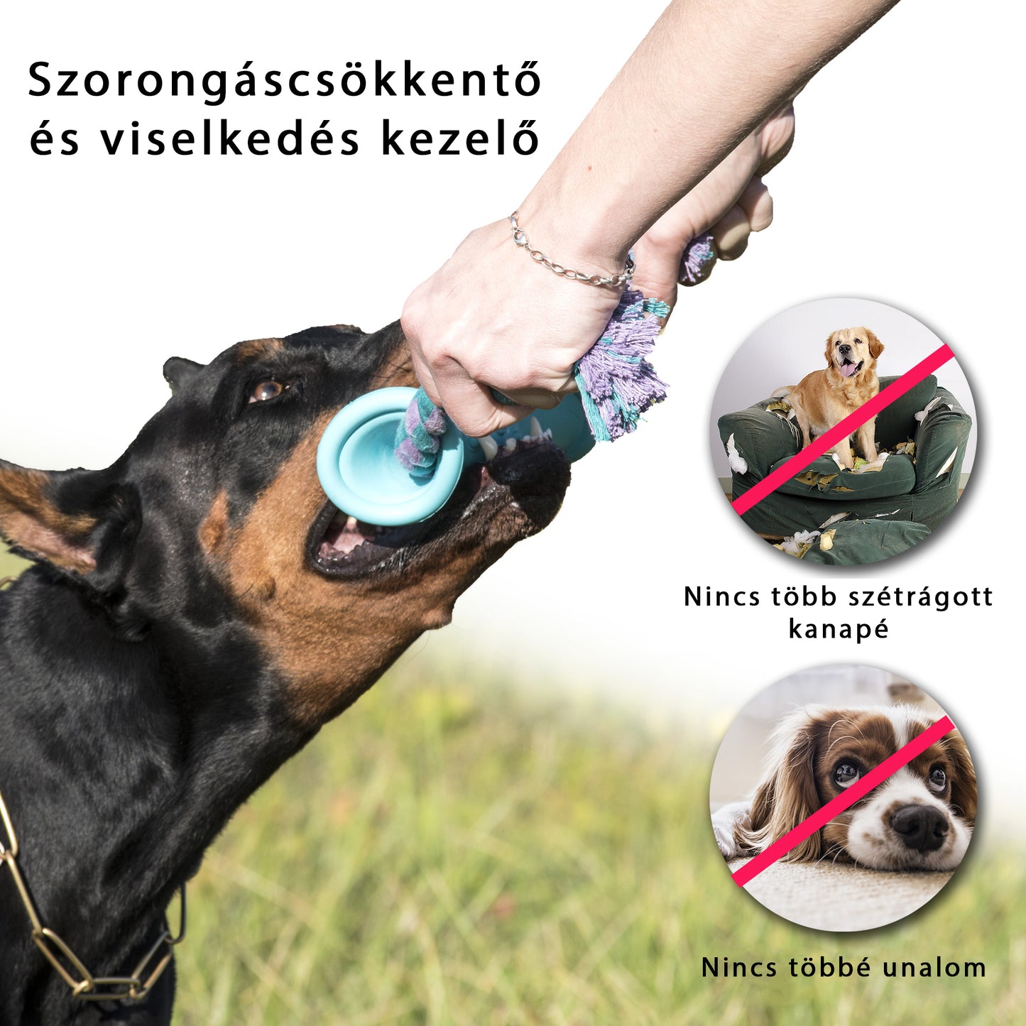 strapabíró játék, kutya játékok, kötél játék,kutya felszerelés , kutya játékok, kutyajáték,kutya labda,kong kutyajáték, strapabíró játék, kutya logikai játék,