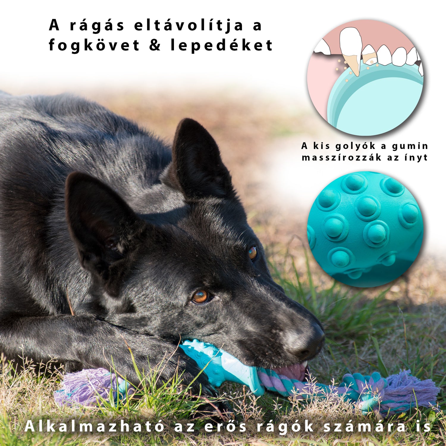 játék kutyák,kötél játék,kutya felszerelés , kutya játékok, kutyajáték,kutya labda,kong kutyajáték, strapabíró játék, kutya logikai játék,, kutya játékok